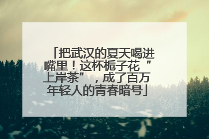把武汉的夏天喝进嘴里！这杯栀子花“上岸茶”，成了百万年轻人的青春暗号