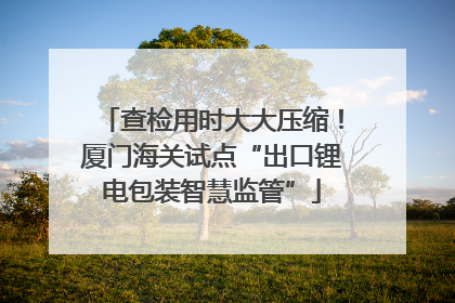 查检用时大大压缩！厦门海关试点“出口锂电包装智慧监管”