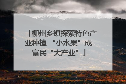 柳州乡镇探索特色产业种植 “小水果”成富民“大产业”