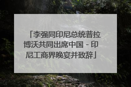 李强同印尼总统普拉博沃共同出席中国－印尼工商界晚宴并致辞