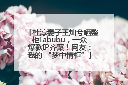 杜淳妻子王灿兮晒整柜Labubu，一众爆款IP齐聚！网友：我的 “梦中情柜”