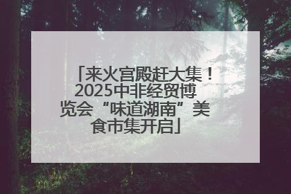 来火宫殿赶大集！2025中非经贸博览会“味道湖南”美食市集开启
