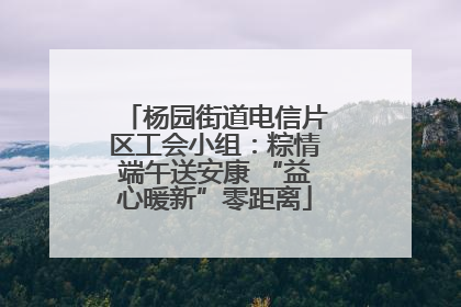 杨园街道电信片区工会小组：粽情端午送安康 “益心暖新”零距离