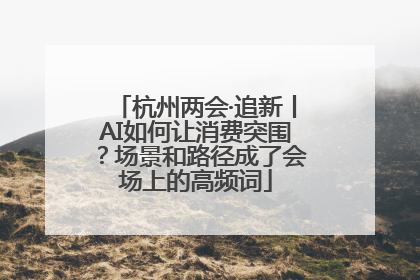 杭州两会·追新丨AI如何让消费突围?场景和路径成了会场上的高频词