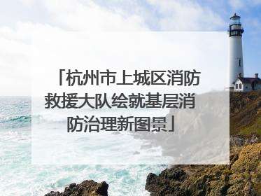 杭州市上城区消防救援大队绘就基层消防治理新图景