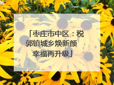 枣庄市中区：税郭镇城乡焕新颜 幸福再升级