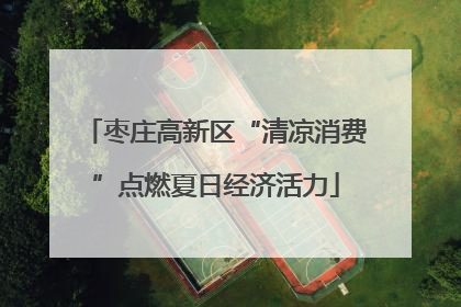 枣庄高新区“清凉消费”点燃夏日经济活力