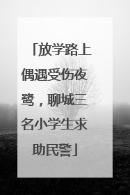 放学路上偶遇受伤夜鹭，聊城三名小学生求助民警