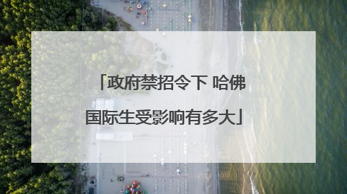 政府禁招令下 哈佛国际生受影响有多大