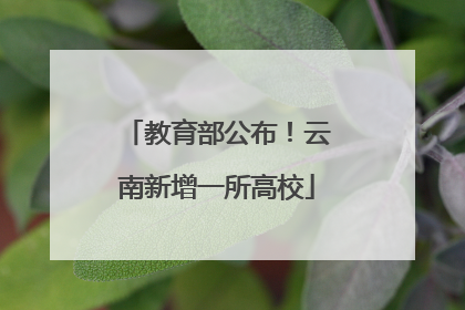 教育部公布！云南新增一所高校