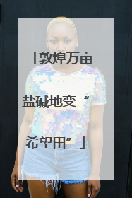 敦煌万亩盐碱地变“希望田”