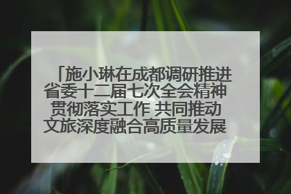 施小琳在成都调研推进省委十二届七次全会精神贯彻落实工作 共同推动文旅深度融合高质量发展 加快打造支柱产业民生产业幸福产业