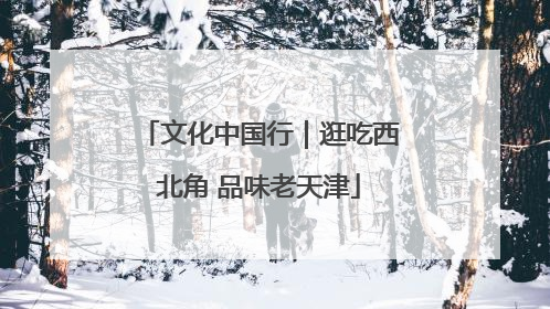 文化中国行｜逛吃西北角 品味老天津