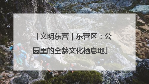 文明东营｜东营区：公园里的全龄文化栖息地