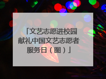 文艺志愿进校园 献礼中国文艺志愿者服务日（图）