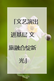 文艺演出进基层 文旅融合绽新光