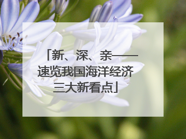 新、深、亲——速览我国海洋经济三大新看点