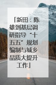 新田：陈雄到基层调研指导“十五五”规划编制与城乡品质大提升工作