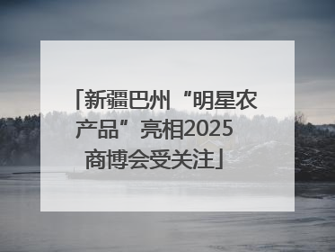新疆巴州“明星农产品”亮相2025商博会受关注