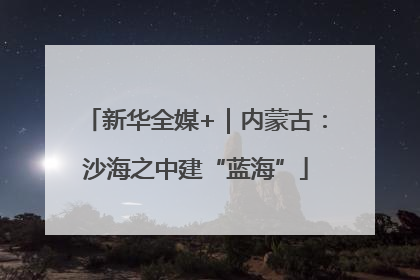 新华全媒+｜内蒙古：沙海之中建“蓝海”
