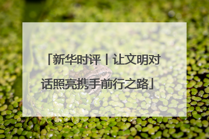 新华时评丨让文明对话照亮携手前行之路