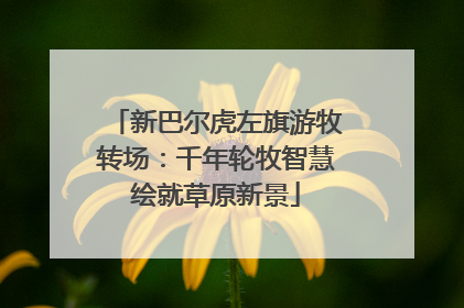 新巴尔虎左旗游牧转场：千年轮牧智慧绘就草原新景