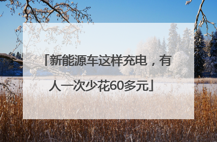 新能源车这样充电，有人一次少花60多元