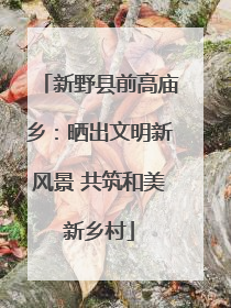 新野县前高庙乡：晒出文明新风景 共筑和美新乡村