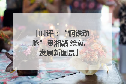 时评：“钢铁动脉”贯湘赣 绘就发展新图景