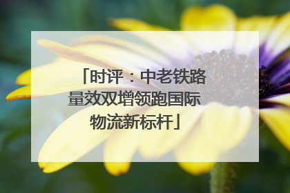 时评：中老铁路量效双增领跑国际物流新标杆