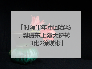 时隔半年重回赛场，樊振东上演大逆转，3比2徐瑛彬