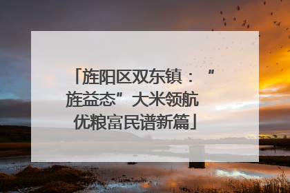 旌阳区双东镇：“旌益态”大米领航 优粮富民谱新篇