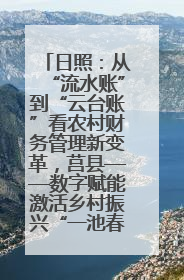 日照：从“流水账”到“云台账”看农村财务管理新变革，莒县——数字赋能激活乡村振兴“一池春水”