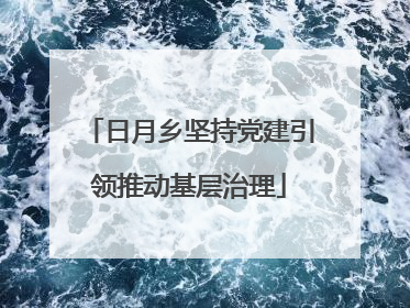日月乡坚持党建引领推动基层治理