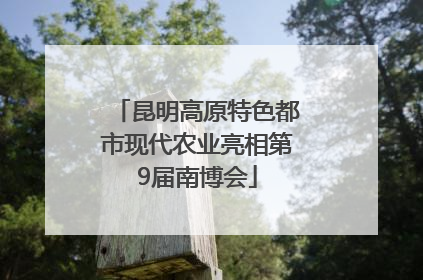 昆明高原特色都市现代农业亮相第9届南博会