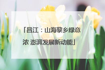 昌江：山海黎乡绿意浓 澎湃发展新动能