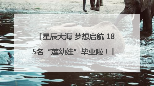 星辰大海 梦想启航 185名“莲幼娃”毕业啦！