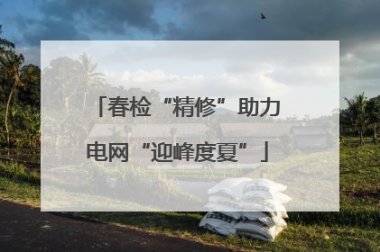 春检“精修”助力电网“迎峰度夏”