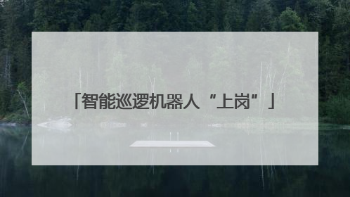 智能巡逻机器人“上岗”
