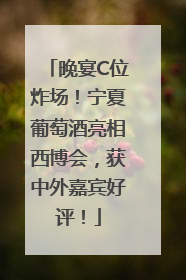 晚宴C位炸场！宁夏葡萄酒亮相西博会，获中外嘉宾好评！