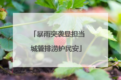 暴雨突袭显担当 城管排涝护民安