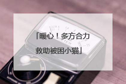 暖心！多方合力救助被困小猫