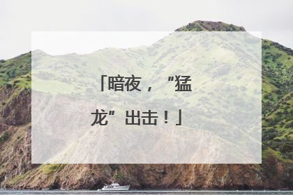 暗夜，“猛龙”出击！