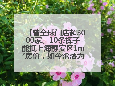 曾全球门店超3000家、10条裤子能抵上海静安区1m²房价，如今沦落为几十元快消品 真维斯，明天的太阳从哪里升起？