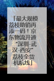 最大规模荔枝助销再添一码！京东物流开通“深圳-武汉-西安” 荔枝全货机航线