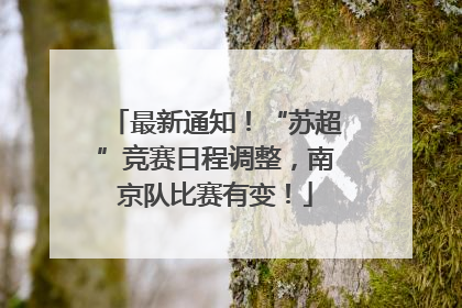最新通知！“苏超”竞赛日程调整，南京队比赛有变！