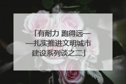 有耐力 跑得远——扎实推进文明城市建设系列谈之二