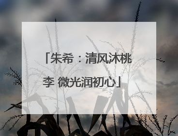 朱希：清风沐桃李 微光润初心