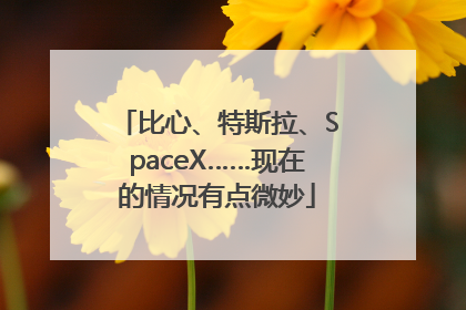 比心、特斯拉、SpaceX……现在的情况有点微妙