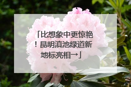 比想象中更惊艳！昆明滇池绿道新地标亮相→